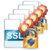 Digi-SSL™ Service Xs